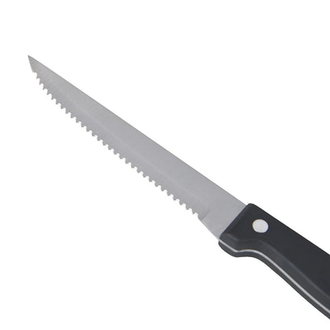 Stainless Steel Steak Knife